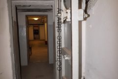 DSCF9842
