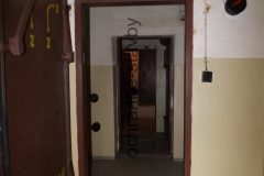 DSCF8596